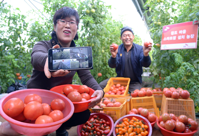 Nông nghiệp thông minh ở Hàn Quốc